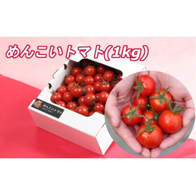 フルーツトマト 約1kg 【 めんこいトマト 】 とまと フルーツ 野菜