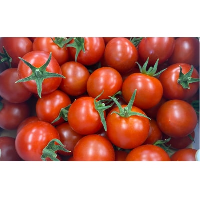 先行受付 フルーツトマト 約1kg 【 めんこいトマト 】 とまと フルーツ 野菜 