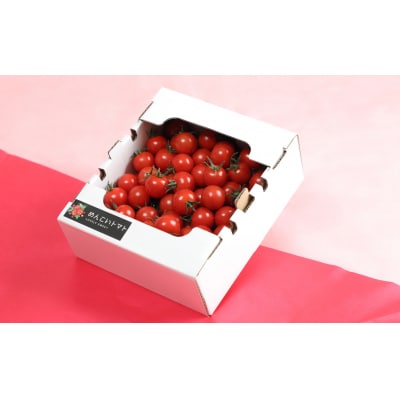 先行受付 フルーツトマト 約1kg 【 めんこいトマト 】 とまと フルーツ 野菜 
