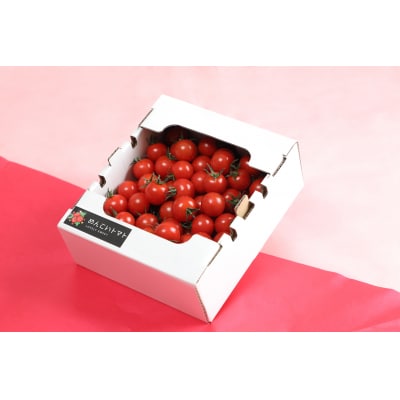 �y��s��t�z �󂠂� �t���[�c�g�}�g ��1kg �i�� �t���e�B�J �Ƃ܂� �t���[�c ���