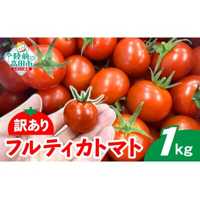 訳あり フルーツトマト 約1kg 品種 フルティカ とまと フルーツ 野菜