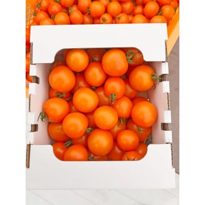 訳あり フルーツトマト 約1kg シャイントマト 品種 ちばさんさん とまと フルーツ 野菜