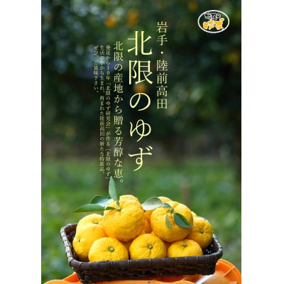 【香りたっぷり】 北限のゆず 果皮 1kg 真空パック ゆず 柚子