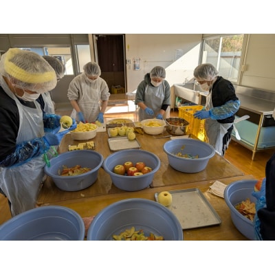 先行受付 ドライフルーツ スティックりんご 40g×4袋 乾燥りんご お菓子 おやつ