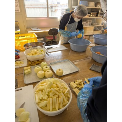 ドライフルーツ スティックりんご 40g×5袋 乾燥りんご お菓子 おやつ