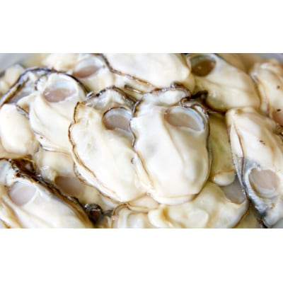 【かき小屋広田湾】冷凍むき身牡蠣(500g)と冷凍ほや(300g×2個)セット