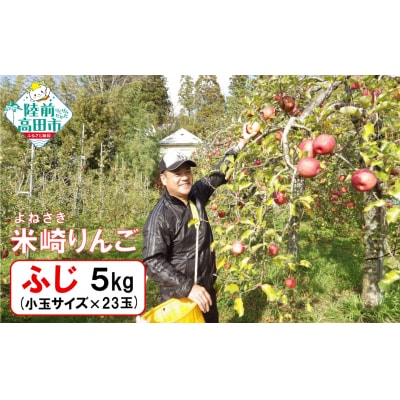 【完熟濃厚】 米崎りんご 品種 ふじ 小玉 約5kg 23玉 リンゴ 訳あり 数量限定