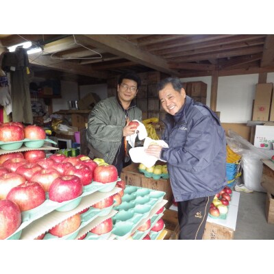 【完熟濃厚】 米崎りんご 品種 ふじ 小玉 約5kg 23玉 リンゴ 訳あり 数量限定