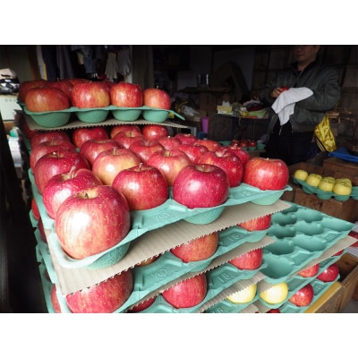 【完熟濃厚】 米崎りんご 品種 ふじ 小玉 約5kg 23玉 リンゴ 訳あり 数量限定