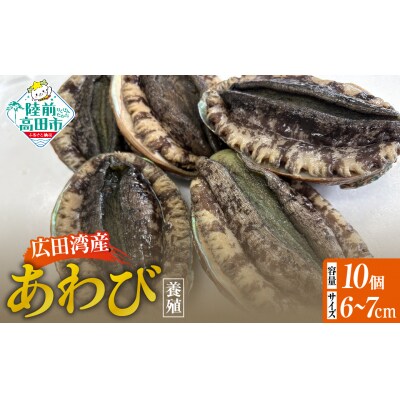 養殖 あわび 10個セット 殻長6cm～7cm 広田湾産 アワビ 冷蔵 料理 おせち