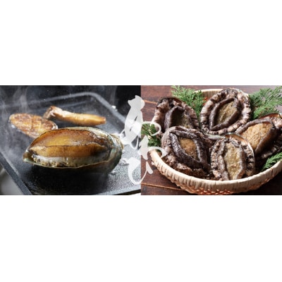 養殖 あわび 10個セット 殻長6cm～7cm 広田湾産 アワビ 冷蔵 料理 おせち