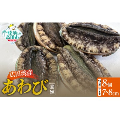 養殖 あわび 8個セット 殻長7cm～8cm 広田湾産 アワビ 冷蔵 料理 おせち
