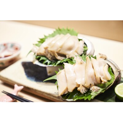 養殖 あわび 7個セット 殻長8cm～9cm 広田湾産 アワビ 冷蔵 料理 おせち