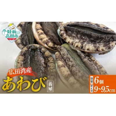 養殖 あわび 6個セット 殻長9cm～9.5cm 広田湾産 アワビ 冷蔵 料理 おせち