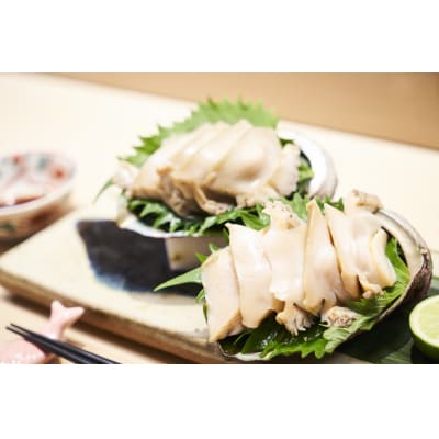 養殖 あわび 6個セット 殻長9cm～9.5cm 広田湾産 アワビ 冷蔵 料理 おせち