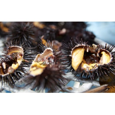 【濃厚!】 三陸産 焼きウニ 3個 ギフト 人気 うに 海産物 魚介類