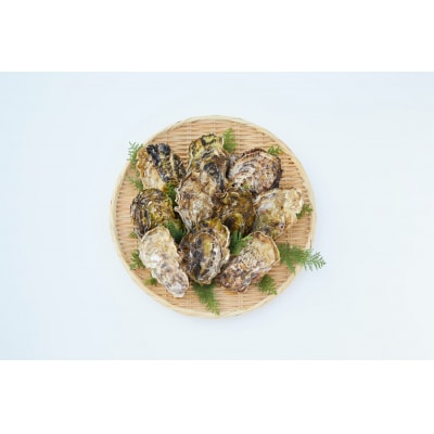 【感謝プラン】 殻付き牡蠣8個+2個 計10個 生食可 かき小屋広田湾 カキ 牡蠣 鍋 数量限定