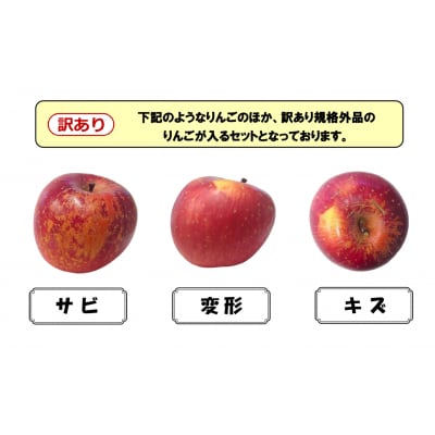 【事業者支援】 訳ありりんご 「ふじ」 約5kg 16玉前後 清水農園 果物 フルーツ
