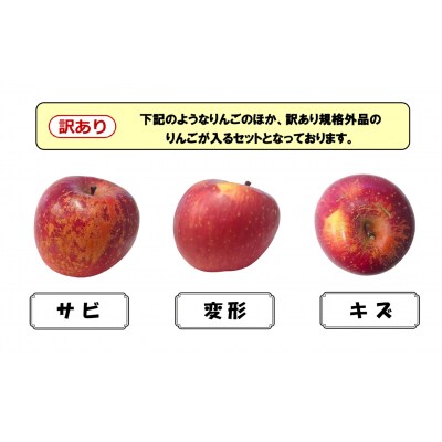【事業者支援】 訳ありりんご 「ふじ」 約5kg 16玉前後 清水農園 果物 フルーツ