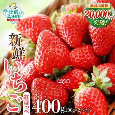 【先行受付】 新鮮 いちご 紅ほっぺ 約400g (200g×2パック) 苺 フルーツ 旬 訳あり