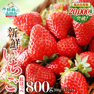 新鮮 いちご 紅ほっぺ 約800g (200g×4パック) 苺 フルーツ 旬 訳あり イチゴ