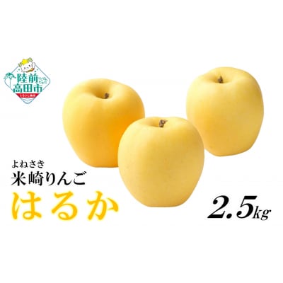 旬のりんご 約2.5kg 品種 はるか りんご 米崎りんご 甘い マルキヨファーム