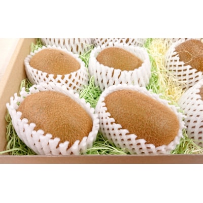 【数量限定】 グリーン キウイフルーツ 1箱(目安:12～15個) 家庭用 訳あり キウイ 限定