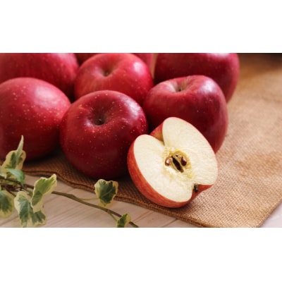 【紅玉100%!】 甘くない リンゴジュース 1000ml×2本 りんご 飲み物 果物