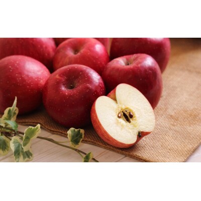 紅玉100%! リンゴ酢 & リンゴジュース セット りんご 酢 飲み物 詰め合わせ 限定