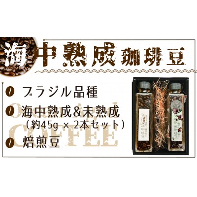 海中 熟成 珈琲豆 飲みくらべ セット 〈焙煎コーヒー豆45g 熟成/熟成なし 各1瓶 〉 コーヒー