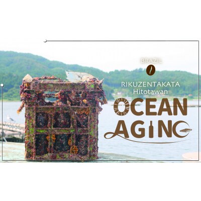 海中 熟成 珈琲豆 飲みくらべ セット 〈焙煎コーヒー豆45g 熟成/熟成なし 各1瓶 〉 コーヒー