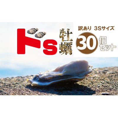 訳あり 殻付き牡蠣 3Sサイズ×30個 不揃い かき 牡蠣 三陸産 鍋 炊き込みご飯 カキフライ