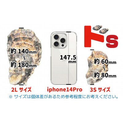 訳あり 殻付き牡蠣 3Sサイズ×30個 不揃い かき 牡蠣 三陸産 鍋 炊き込みご飯 カキフライ