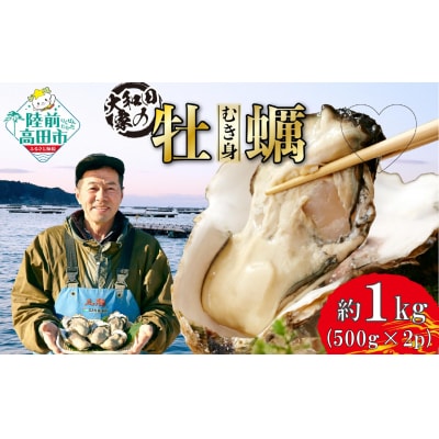 三陸産 むき身牡蠣 約1kg(500g×2袋) 加熱用 大和田家のかき カキ 濃厚 冷蔵 ギフト