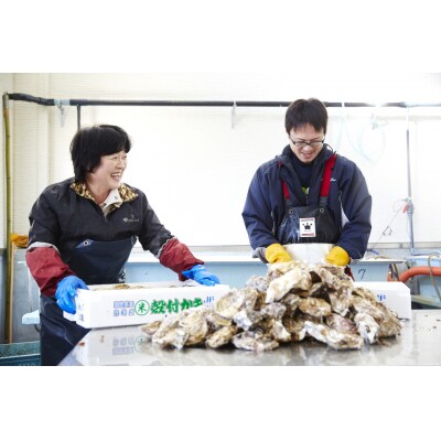 三陸産 むき身牡蠣 約1kg(500g×2袋) 加熱用 大和田家のかき カキ 濃厚 冷蔵 ギフト