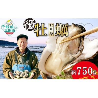 三陸産 むき身牡蠣 約750g 加熱用 大和田家のかき カキ 濃厚 料理 冷蔵 ギフト 鍋