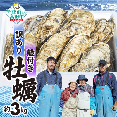 三陸産 訳あり 殻付き牡蠣 約3kg 生食可 牡蠣 かき カキ 大和水産 