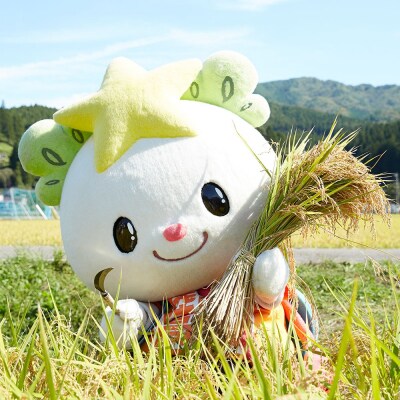 【隔月3回定期便】 たかたのゆめ 玄米 10kg×隔月3回 (合計30kg) 令和7年産 米 お米