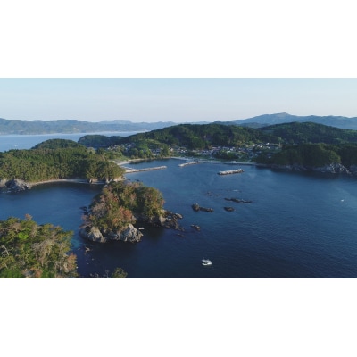 生きたまま発送 毛ガニ 約250g×6匹 陸前高田市産 かに カニ 蟹 活毛ガニ 新鮮 濃厚 天然