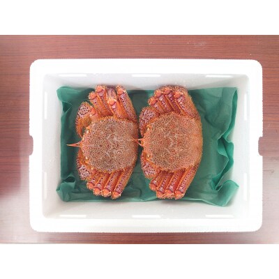 生きたまま発送 毛ガニ 約300g×2匹 陸前高田市産 かに カニ 蟹 活毛ガニ 新鮮 濃厚 天然