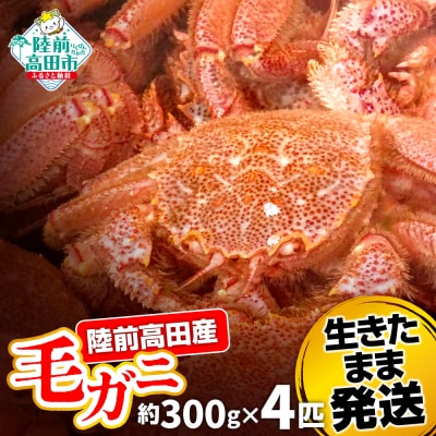 生きたまま発送 毛ガニ 約300g×4匹 陸前高田市産 かに カニ 蟹 活毛ガニ 新鮮 濃厚 天然