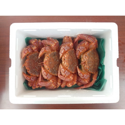 生きたまま発送 毛ガニ 約300g×4匹 陸前高田市産 かに カニ 蟹 活毛ガニ 新鮮 濃厚 天然