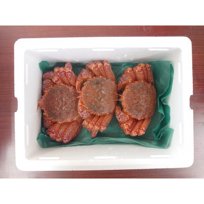 生きたまま発送 毛ガニ 約400g×3匹 陸前高田市産 かに カニ 蟹 活毛ガニ 新鮮 濃厚 天然