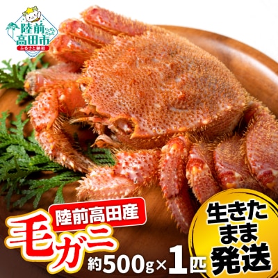生きたまま発送 毛ガニ 約500g×1匹 陸前高田市産 かに カニ 蟹 活毛ガニ 新鮮 濃厚 天然
