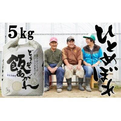 令和7年産 ひとめぼれ 5kg 白米 軍見洞農園 米 お米 精米 お弁当 おにぎり おむすび