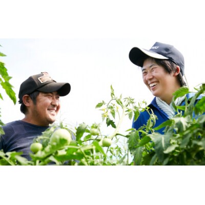 令和7年産 ひとめぼれ 5kg 白米 軍見洞農園 米 お米 精米 お弁当 おにぎり おむすび