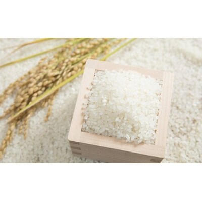 令和7年産 ひとめぼれ 5kg 白米 軍見洞農園 米 お米 精米 お弁当 おにぎり おむすび