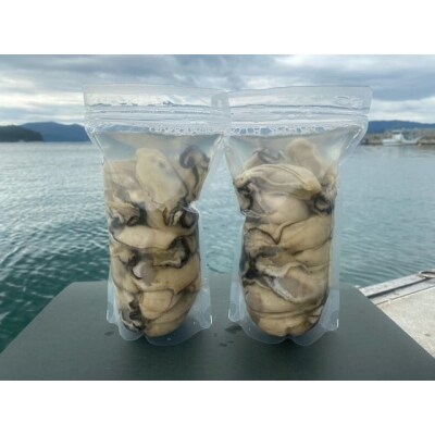 三陸産 むき身牡蠣 約1kg(500g×2袋) ミックスサイズ 加熱用 鈴吉丸 カキ 濃厚 冷蔵