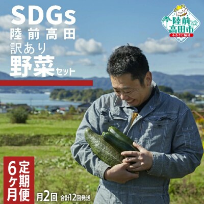 【6ヶ月定期便/月2回発送】訳あり 野菜セット 約3～4種類 農家のおすそわけ ひころいちファーム