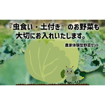 【6ヶ月定期便/月2回発送】訳あり 野菜セット 約3～4種類 農家のおすそわけ ひころいちファーム